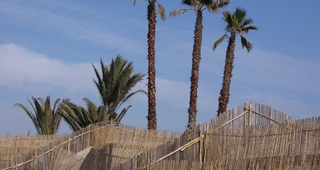 Imagen de la playa El Saler