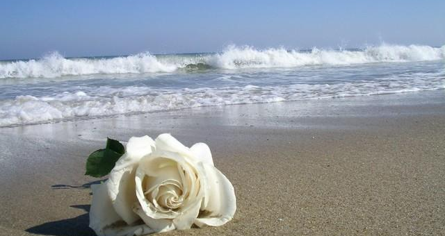 Imagen de la playa Nudista El Saler