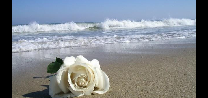 Imagen de la playa Nudista El Saler